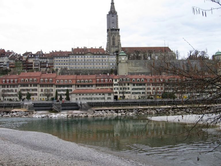 2011 Europe Tour with Roy Gaines